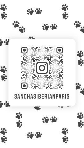 img_instagram-9176be19 image img_instagram-9176be19 Découvrez nos futurs chatons et ceux qui ont trouver une maison